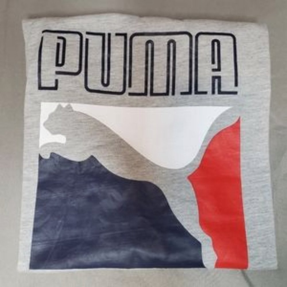 T Shirt Puma Teen Grey (L 14-16)